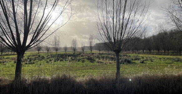 Licht in donkere dagen